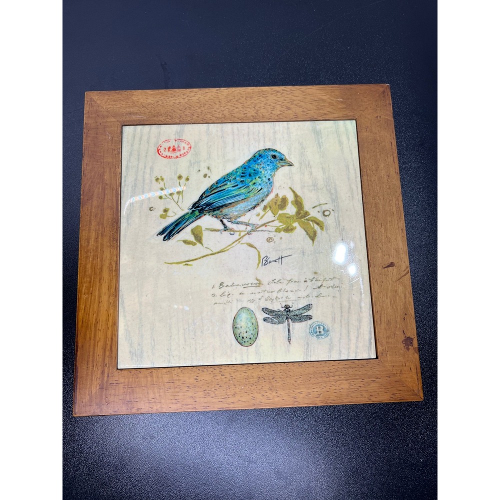 Chad Barrett Ornithology Print Gilded Songbird Ceramic Tile Framed Wall Art 8x8